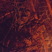 sanctuary-12