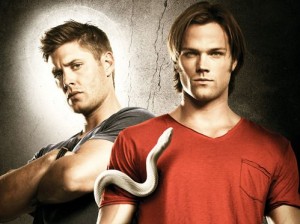 Supernatural (Season 8)
